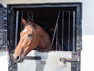 NH051025-73 - Will Carver